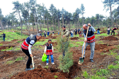 Hatay’da doğa için el ele: Fidan diktiler, ceylanları yerinde gözlemlediler