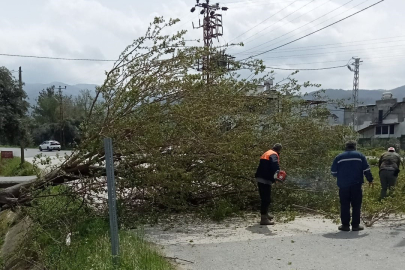 Osmaniye’de fırtına etkili oldu, devrilen ağaçlar yolları kapattı