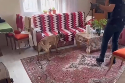 Silah tacirlerine operasyon: Çok sayıda silah ve uyuşturucu ele geçirildi