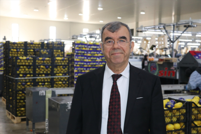 Yaş meyve sebze üreticileri tarafından bu dönemde Irak'a 131 bin 717 ton ürün ihraç edildi