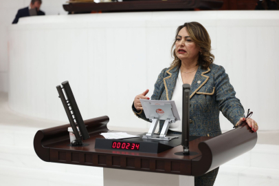 Dr. Şevkin: Meclis, Adana’nın ilçeleri için harekete geçmelidir