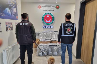 Ticaret Bakanlığı'ndan dev operasyon: Edirne ve İstanbul'da 378 milyon liralık uyuşturucu ele geçirildi