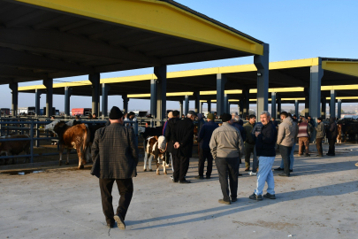 Kayseri'de kurbanlık ve kesim fiyatları belli oldu