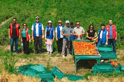 Gençlik ve Spor Bakanlığı "Gönüllü Hasat Etkinliği" takvimi belli oldu