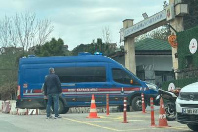 Kocaeli merkezli Adana dahil 5 ilde dev orman operasyonu: 21 şüpheli yakalandı