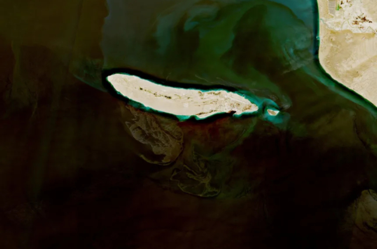 Basra Körfezi'nde büyük çevre felaketi Petrol sızıntıları uzaydan görüntülendi 2