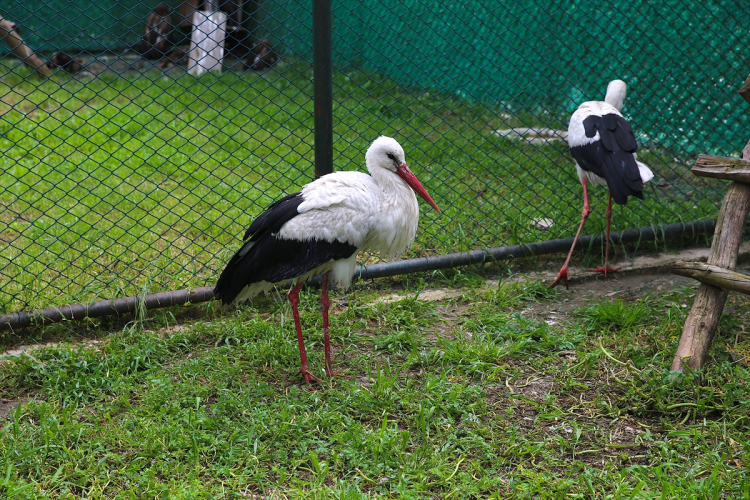 VATANDAŞ İHBARLARI HAYAT KURTARIYOR