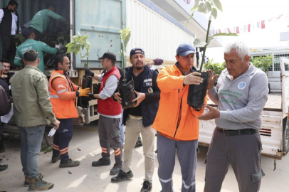 Mersin'de tarımsal kalkınma hamlesi: Anamur'da üreticilere binlerce avokado fidanı dağıtıldı