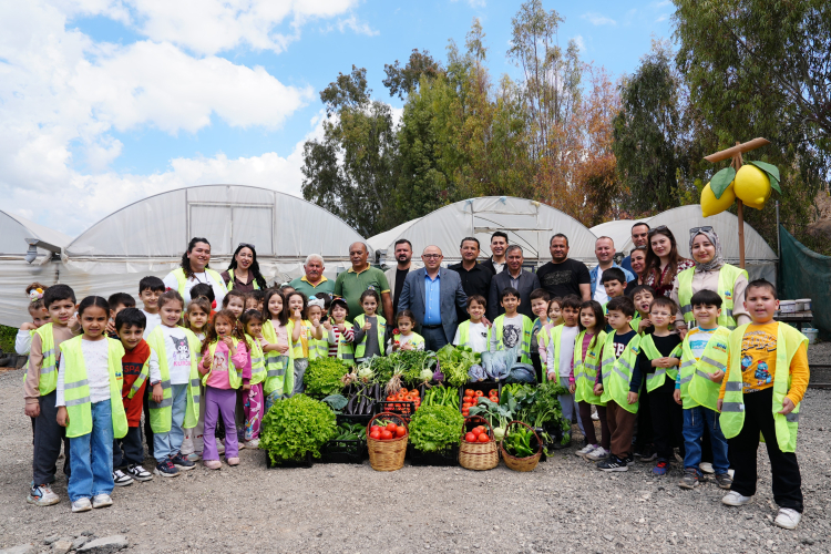 Mersin Erdemli'de minik eller hasat heyecanı yaşadı 2
