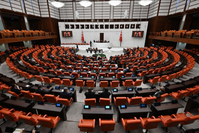 Sosyal medya ve doğum izni düzenlemesi Meclis gündeminde