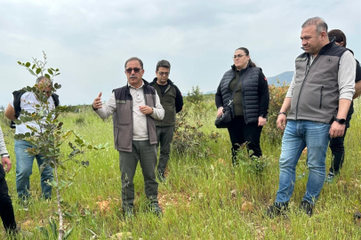 Mersin’de yeşil vatan için kritik hazırlık: Orman personeline ileri düzey ağaçlandırma eğitimi