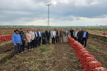 AK Parti Adana Milletvekili Doğru: Üreticimize bereketli sezon diliyorum