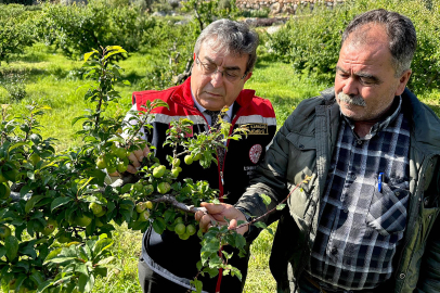 Dolu tarımı vurdu: Erik bahçeleri ve seralarda ağır hasar