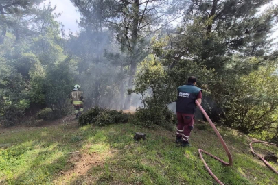 Hatay’da orman seferberliği: İskenderun’daki yangın kontrol altına alındı