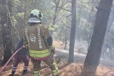 Hatay İskenderun'da yaylada yangın: Orman yangını büyümeden kontrol altına alındı