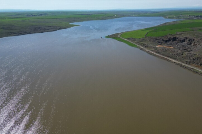 Tarımda sevindiren gelişme: Son 38 yılın rekoru kırıldı