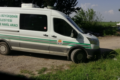 Adana'da ormanlık alanda erkek cesedi bulundu