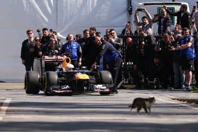 İstanbul’da F1 aracını selamlayan kedi dünyada viral oldu