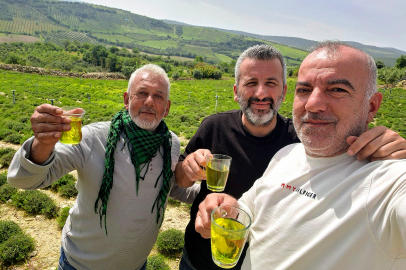 Kekik tarlasında şifa molası: Dalından koparılan kekikle çay keyfi