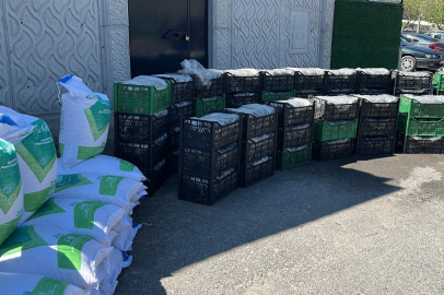 Niğde’de 140 bin çilek fidesi toprakla buluşuyor! Üreticiye devletten dev motivasyon