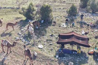 Sarıkeçili Yörükleri’nin zorlu yayla göçü başladı: Toroslar’da bin yıllık gelenek!