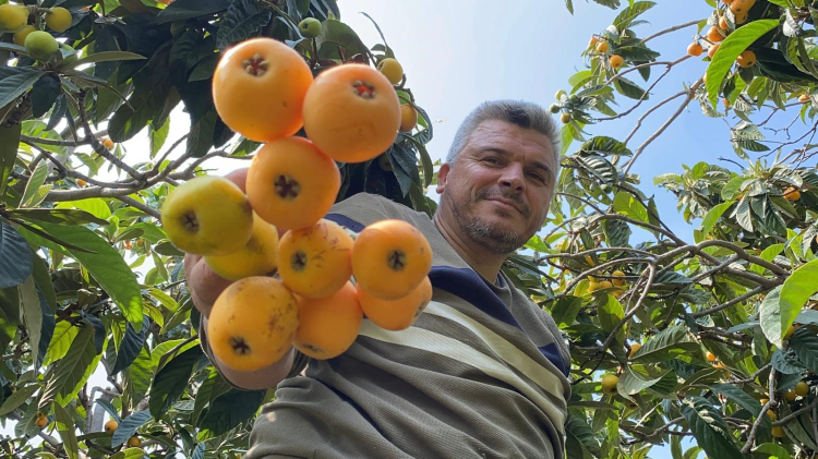 Mersin'de sarı altın mesaisi başladı İhracat fiyatı dudak uçuklatıyor 2