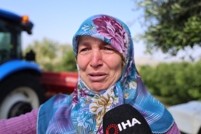 Adana Kozan'da şiddetli sağanak ahırları vurdu: Hayvanlar telef oldu