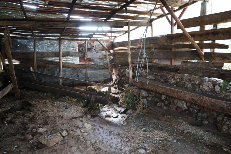 Adana Kozan'da şiddetli sağanak ahırları vurdu Hayvanlar telef oldu 3