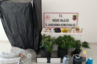 Niğde'de iklimlendirme sistemiyle yasa dışı ekim yapan 4 şüpheli gözaltına alındı