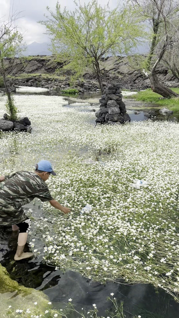 Göldeki çöpleri toplayan 11 yaşındaki çocuk çobandan sitem Hayvanlar kirletmiyor, siz kirletiyorsunuz 3