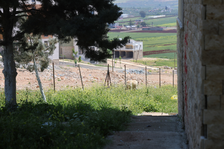 Hatay Reyhanlı'da köpek saldırısına uğrayan kardeşlerden birinde travmatik kafa sallama oluştu 3