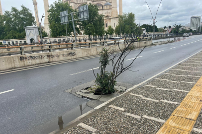 Adana’da dikkat çeken görüntü: Kırık rögar kapağına ağaç dalı konuldu