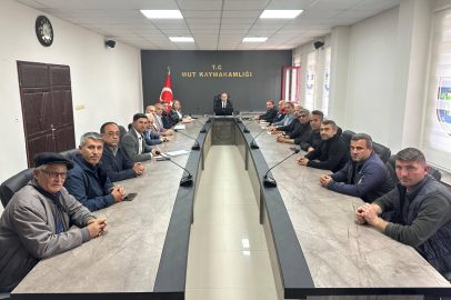 Mersin Mut'ta 2026 yılı kayısı hasat sezonu başladı: Ekonomik yol haritası belirlendi