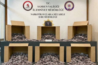 Narkotik baskını: Rekor miktarda uyuşturucu ele geçirildi