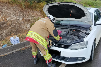 Arsuz'da otomobil motoruna sıkışan yavrular için itfaiye seferber oldu