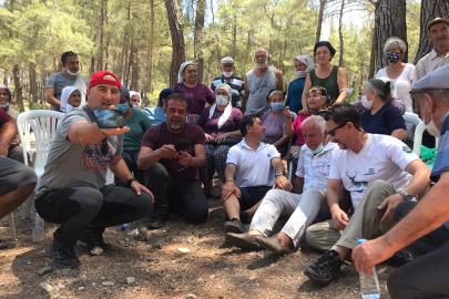 Danıştay’dan Akbelen kararı: Milas’taki 'acele kamulaştırma' durduruldu
