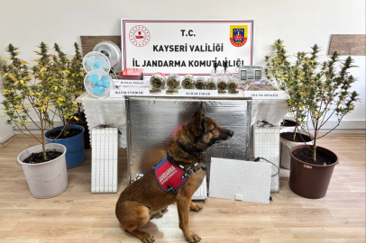 Kayseri'de jandarmadan narkotik operasyonu: Evinde iklimlendirme sistemiyle uyuşturucu yetiştirmiş