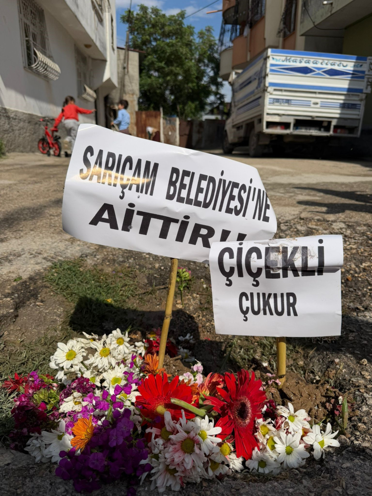 Adana'da gençler bakımsız sokaklardaki çukurlara çiçek dikerek tepki gösterdi 2