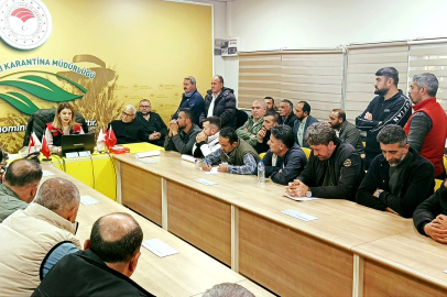 Kurban Bayramı öncesi hayvan nakli yapanlara zorunlu eğitim ve denetim