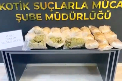 Osmaniye'de minibüsün bagajından 12 kilogram skunk çıktı
