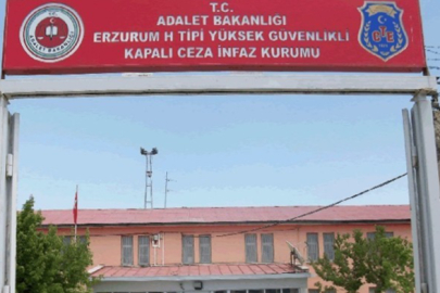 Gülistan Doku soruşturmasında 7 tutuklu Erzurum'a nakledildi