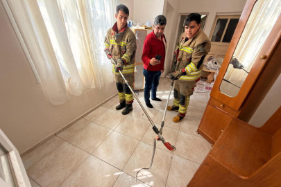 Hatay'da eve giren yılanı itfaiye yakaladı