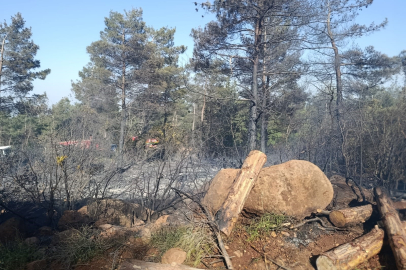 Hatay’da korkutan yangın: Alevler büyümeden kontrol altına alındı