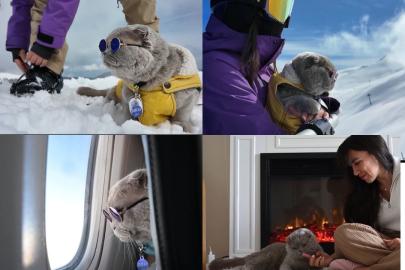 Ölümcül hastalığı atlatan kedi görenleri şaşkına çeviriyor! Denizde yüzüyor, ata biniyor