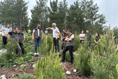 Geleceğin ormanları için büyük adım: Eğitimler sahaya taşındı
