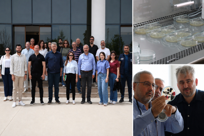 Hatay'da tarımda bilimsel dönüşüm: HBB ve HMKÜ'den üreticiye akademik destek