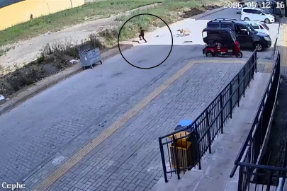 Hatay Erzin'de sokak köpeklerinin saldırdığı 7 yaşındaki çocuk korku dolu anlar yaşadı