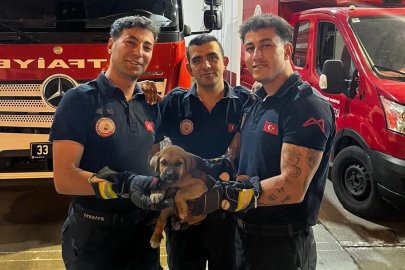 Mersin'de aracın motoruna sıkışan yavru köpek itfaiye ekiplerince kurtarıldı
