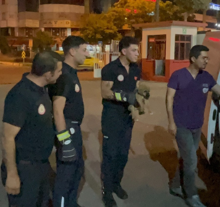 Mersin'de aracın motoruna sıkışan yavru köpek itfaiye ekiplerince kurtarıldı 2