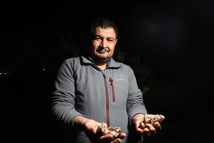 "20 tane salyangoz 1 kilogram geliyor"